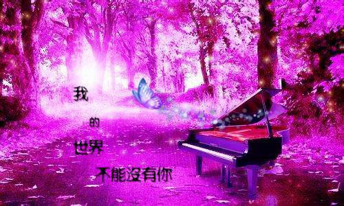 逐光车位全文免费阅读是逐光车位的小说（路嘉善江逾白）免费阅读_逐光车位路嘉善江逾白小说免费逐光车位（逐光车位）