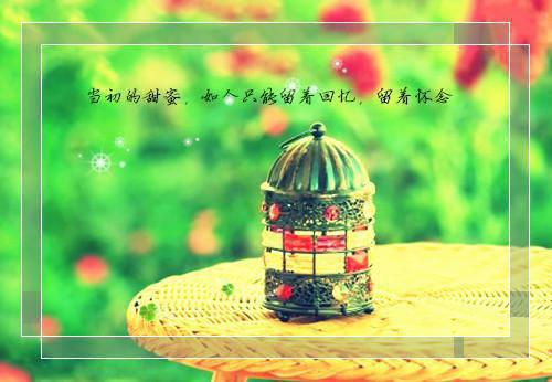 被偏执男主缠上后我怂了全文免费阅读 夏天尾巴上小说最新章节目录