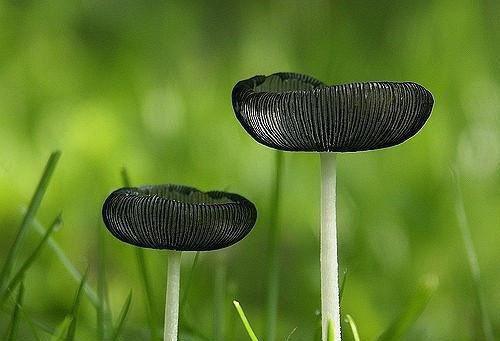 陆相宜季时澈(到头来都是尘埃：结局+番外)全文免费阅读无弹窗大结局_(陆相宜季时澈)最新章节列表(到头来都是尘埃：结局+番外)