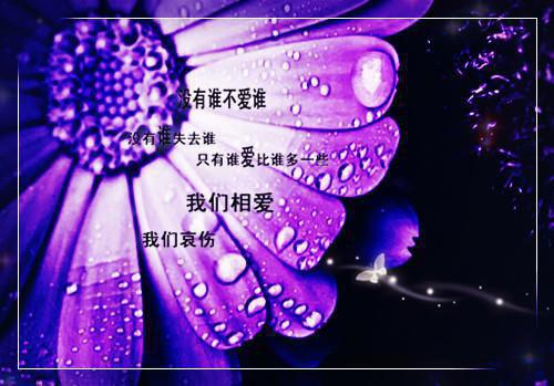 冰山甜玉全文免费阅读（冰山甜玉）全文在线裴鸣江秋笛读无弹窗大结局_（裴鸣江秋笛全文在线裴鸣江秋笛读无弹窗）冰山甜玉最新章节列表（裴鸣江秋笛）
