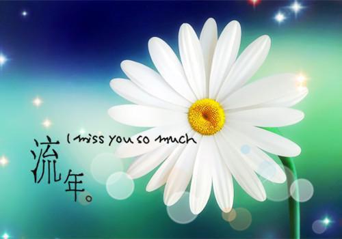 全文小说闪婚御姐总裁，姐姐把我宠上天方墨宁月澜免费阅读