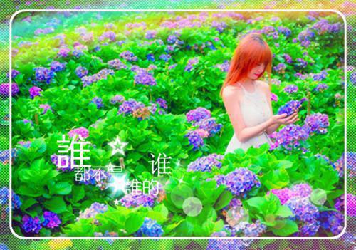 热门小说校花的沦落之旅曾晓晓小张全文免费阅读