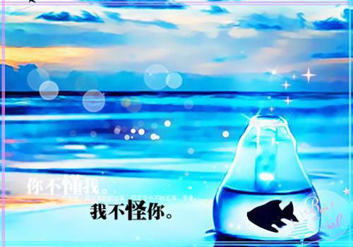 徐岁苒沈疆小说全本完结版免费阅读