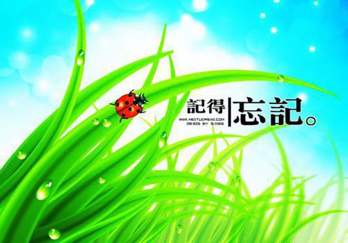 流云归位全文免费廖今昭读大结局_（廖今昭流云归位）流云归位最新章节列表（廖今昭）