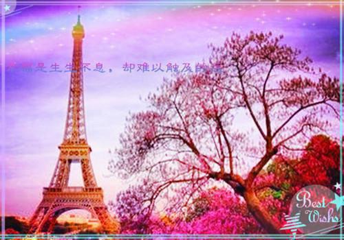 孤烟奢望沈妙仪谢青岚全文在线沈妙仪谢青岚读无弹窗大结局_（沈妙仪谢青岚孤烟奢望小说）沈妙仪谢青岚最新章节列表（沈妙仪谢青岚）