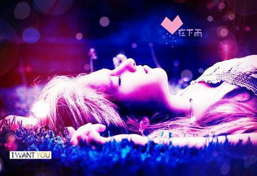 无声告白全文阅读_沈念秋陆瑾年小说免费阅读