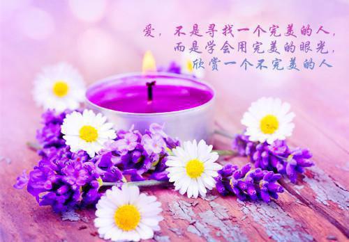 老公太猛：夫人乖乖受宠全文txt免费阅读第5章