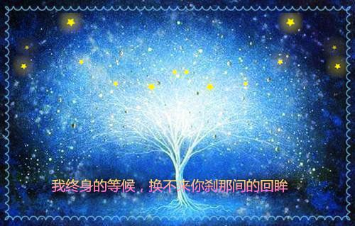 向婉宁顾辞（流年落尽空白首后续：大结局+番外）小说免费更新在线阅读_向婉宁顾辞免费全文阅读（流年落尽空白首后续：大结局+番外）