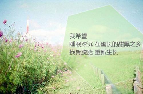 晚风熟悉傅薄砚张妈齐晁全文在线傅薄砚张妈齐晁读无弹窗大结局_（傅薄砚张妈齐晁晚风熟悉）傅薄砚张妈齐晁最新章节列表（傅薄砚张妈齐晁）