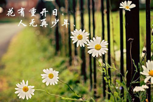 《后宫谋：娇妃难哄》最新章节更新 项晔秋珉儿全文免费阅读