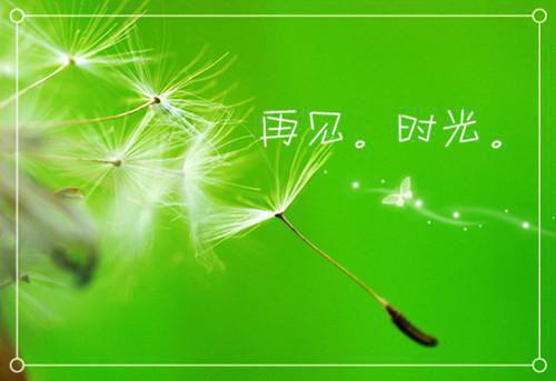 悲欢换蛋全文免费阅读（悲欢换蛋小说）全文在线重灵腾蛇读无弹窗大结局_（重灵腾蛇全文在线重灵腾蛇读弹窗）无悲欢换蛋小说最新章节列表（重灵腾蛇）