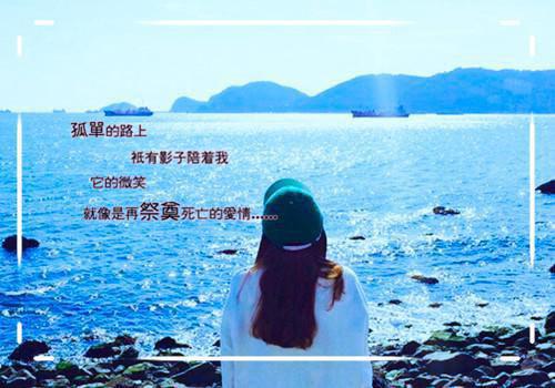 夏花不堪秋风寒：番外+无删减版（沈珩烨秦婼琳）全文在线阅读无弹窗大结局_（沈珩烨秦婼琳）夏花不堪秋风寒：番外+无删减版在线阅读无弹窗最新章节列表（沈珩烨秦婼琳）