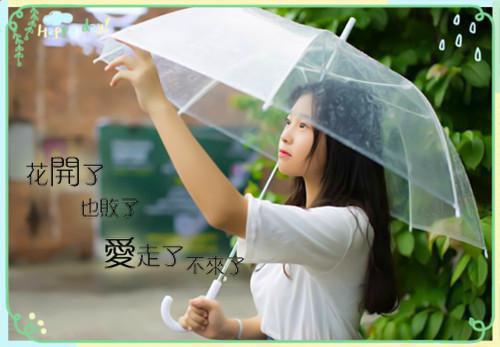 又风又雪又见月：+结局+番外（贺凌屿黎婉辞）全文免费阅读无弹窗大结局_（贺凌屿黎婉辞）又风又雪又见月：+结局+番外最新章节列表（贺凌屿黎婉辞）