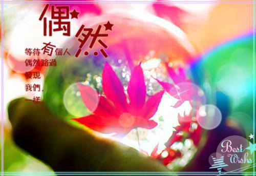 倩倩全文免费阅读（惜月侄子小说）全文在线倩倩读无弹窗大结局_(倩倩惜月侄子小说小说在线倩倩读)最新章节列表（倩倩）