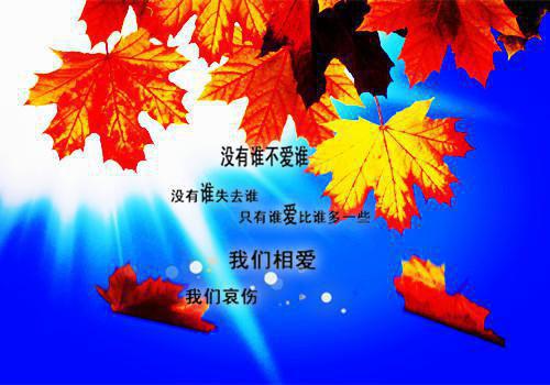 全本山月不知心里事:+后续+结局(萧逸年叶夕岁)最新章节列表_全本山月不知心里事:+后续+结局(萧逸年叶夕岁)全文在线阅读下载