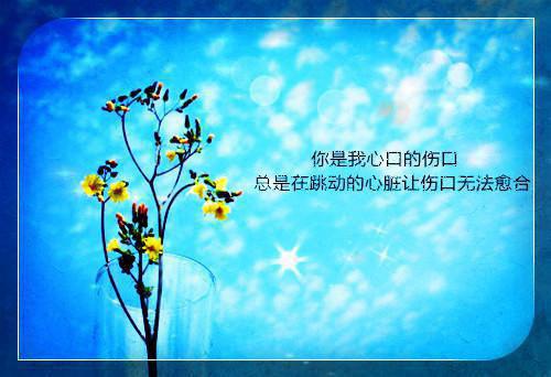 纪明泽时念全本免费时念纪明泽小说全文试读
