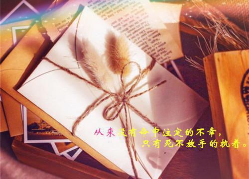 《男人如铁》主角(赵二孩王新生)第3章在线赏析