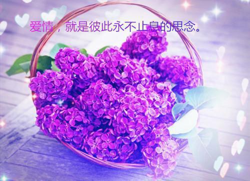 (番外)+(全文)十天一天赋，成为吸血鬼的我太BUG了：全文+后续+结局免费下载阅读_(余贤张寿)十天一天赋，成为吸血鬼的我太BUG了：全文+后续+结局最新章节列表（余贤张寿）