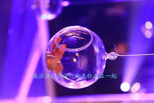 微甜真挚沈听夏池砚舟全文免费阅读（微甜真挚小说）全文免费沈听夏池砚舟读无弹窗大结局_微甜真挚小说沈听夏池砚舟最新章节列表（沈听夏池砚舟）