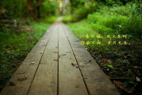 (番外)+(全文)临死前，儿子为了救我求了首富老公三次：结局+番外（乔宁沈妄）完结阅读无弹窗大结局_(乔宁沈妄)最新章节列表（临死前，儿子为了救我求了首富老公三次：结局+番外）
