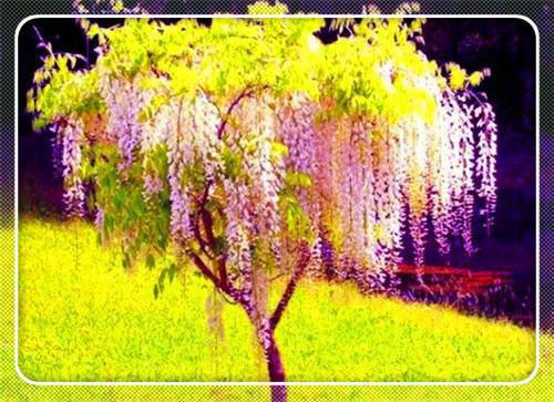 周寒之纪南妤【请阅小说】全本免费小说目录试读