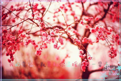 千珏云的小说_墨如霜千珏云独家完结墨如霜千珏云小说阅读