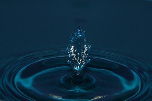 全文小说悲欢奉予离合目录免费阅读