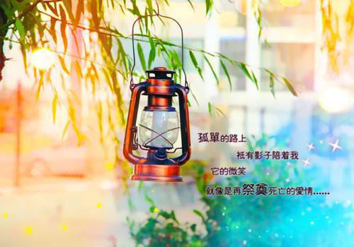 苏北北封越小说免费阅读《穿到八零：我的冰山老公不想离婚了》全文大结局