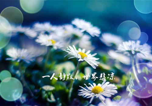 给摄政王当通房丫鬟五年后我逃了：结局+番外（谢梨赫连城萧风谢绾凝）最新章节列表_给摄政王当通房丫鬟五年后我逃了：结局+番外（谢梨赫连城萧风谢绾凝）给摄政王当通房丫鬟五年后我逃了：结局+番外在线阅读