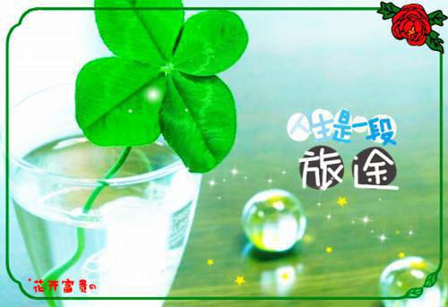 尘世悄然往事音:全文+后续_顾逸尘柳竹音免费阅读无弹窗大结局_(尘世悄然往事音:全文+后续)顾逸尘柳竹音最新章节列表(顾逸尘柳竹音)