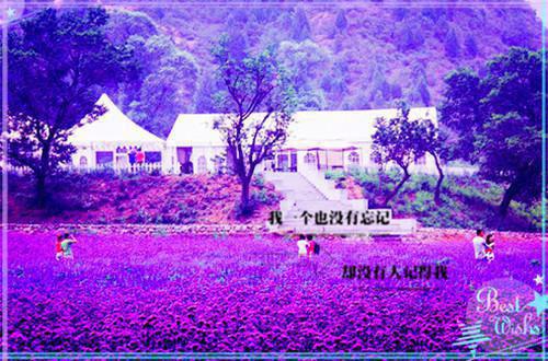 全章节小说携崽归来：妈咪又去虐渣啦by皎皎云中月阅读