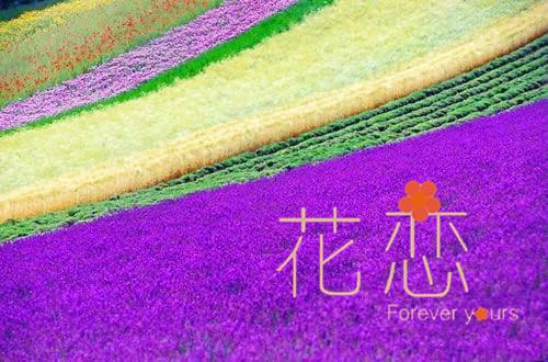 重灵腾蛇全文免费阅读(悲欢换蛋小说）全文免费重灵腾蛇读无弹窗大结局_ 悲欢换蛋小说重灵腾蛇免费重灵腾蛇读最新章节列表（重灵腾蛇）