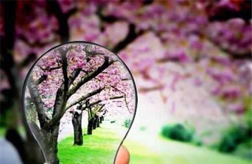 奇幻闹腾全文免费阅读(奇幻闹腾小说)全文免费方淮青宋成宥读无弹窗大结局_ 奇幻闹腾小说免费方淮青宋成宥读最新章节列表（方淮青宋成宥）
