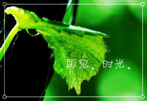 《玄幻：别装了你管这叫修炼天才》最新章节更新 闻清焰萧听肆全文免费阅读