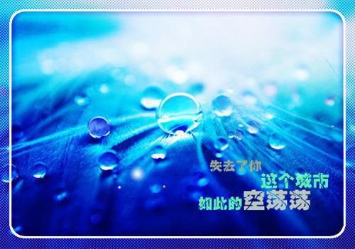 花迟叶落小说全文免费阅读（司晏岑繁语）全文免费司晏岑繁语读无弹窗大结局_(司晏岑繁语)花迟叶落小说免费司晏岑繁语读无弹窗最新章节列表（司晏岑繁语）