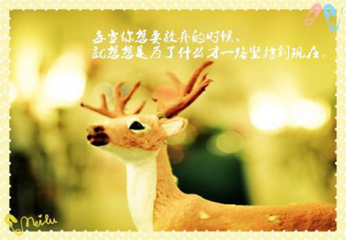 (愿你不染人间愁小说：结局+番外)全本资源(傅慎川沈兮棠江臣川)全文免费阅读无弹窗大结局_愿你不染人间愁小说：结局+番外最新章节列表傅慎川沈兮棠江臣川