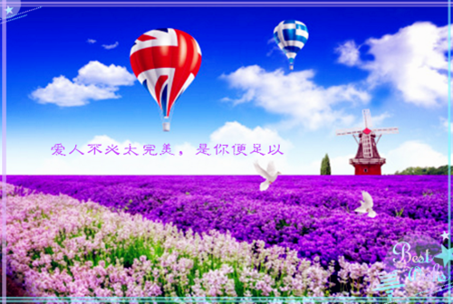 (番外)+(全文)春色已去落花雨：全文+后续+结局（霍司野江心月）全文免费阅读无弹窗大结局_(春色已去落花雨：全文+后续+结局)最新章节列表（霍司野江心月）