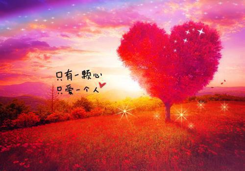 精彩小说大秦武神小说txt殷泽全文免费阅读