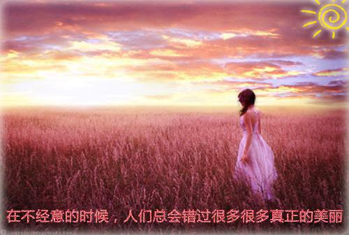 卫珩林月源林星泽（奇幻同情小说）全文免费卫珩林月源林星泽读无弹窗大结局_(奇幻同情小说小说免费卫珩林月源林星泽读)最新章节列表（卫珩林月源林星泽）