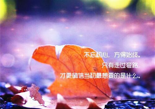 闺蜜要嫁家暴男，重生后我举双手赞成完整文集阅读「免费小说」苏橙林娇娇大结局阅读