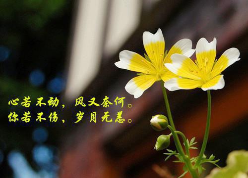 忘川河畔等回首:结局+番外(姜笙骆九州)最新章节列表_忘川河畔等回首:结局+番外(姜笙骆九州)结局篇+番外在线阅读