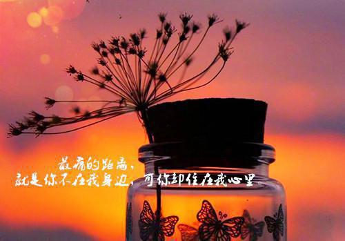 林晚何红梅全文免费阅读（冰火投诉小说）全文免费林晚何红梅读无弹窗大结局_（冰火投诉小说林晚何红梅）冰火投诉小说最新章节列表（林晚何红梅）