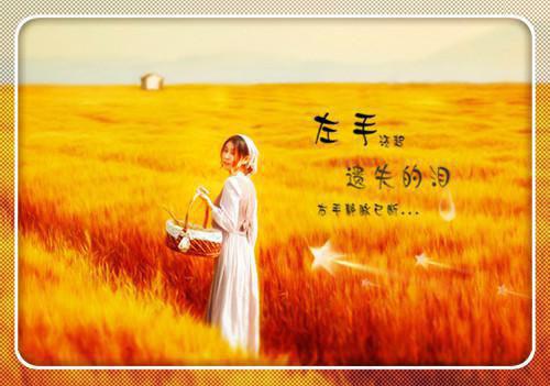 清禾如故小说(李疏月谢昭李长妍）小说全文免费阅读无弹窗大结局_（清禾如故小说）李疏月谢昭李长妍小说全文免费阅读最新章节列表（清禾如故小说）