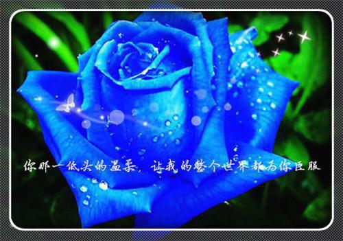 得知孩子被换后，我觉醒了小说全文免费阅读(小欣冯建国雅诗)全文免费小欣冯建国雅诗读无弹窗大结局_ 小欣冯建国雅诗免费小欣冯建国雅诗读最新章节列表（得知孩子被换后，我觉醒了小说）