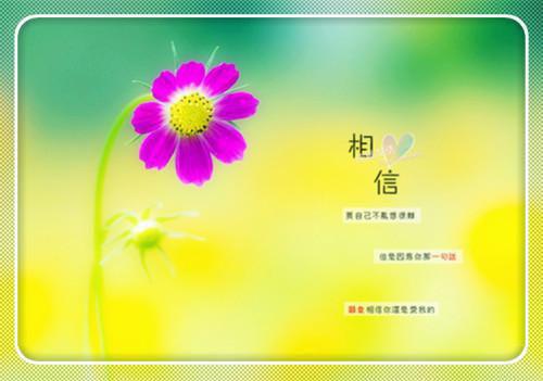 玩转京圈豪门真千金马甲掉不停全文无弹窗阅读 宋离傅时弈第4章