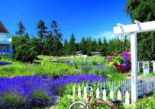 未见青山***言商鹤宇（温言商鹤宇）全文免费阅读_未见青山***言商鹤宇（温言商鹤宇）最新章节列表未见青山***言商鹤宇