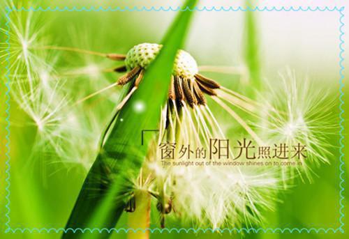 全本飞絮落尽不成梦：+后续+结局（贺怀宴付书柠）最新章节_全本飞絮落尽不成梦：+后续+结局全文阅读