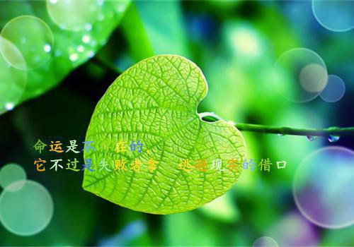 百倍反哺：我门下有三千女帝陈凌许婧秋小说全集免费试读