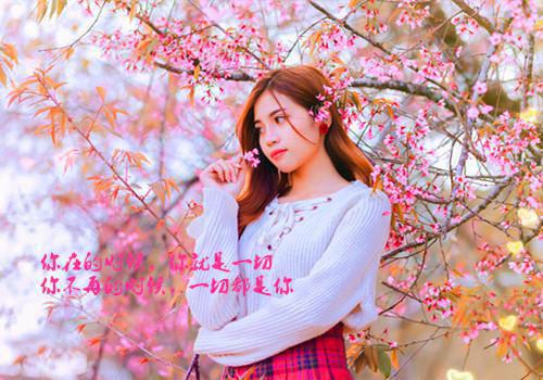 回望南墙已陌路：全文+后续+结局（回望南墙已陌路）最新章节列表_回望南墙已陌路（顾昭闻沈云嫣）回望南墙已陌路：全文+后续+结局在线阅读