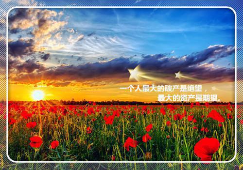 小说未婚夫踢死我的狗第2章精选阅读